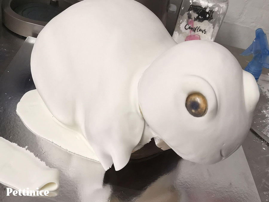 Next, I cover the body as seen and start adding a few details while fondant is still soft.