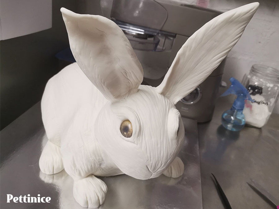 Use a little bit of Pettinice to merge the bottom of the ears to the head.