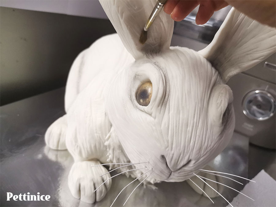 Apply your edible color powder/dust to the insides of the ears, the creases above the eyes, between the toes, and anywhere you feel it needs a bit of shading.